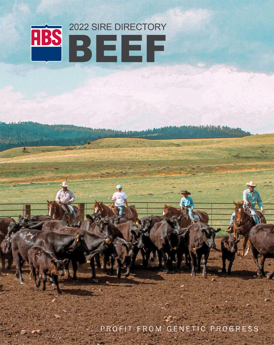ABS Beef Wide Range Bovine Unlimited LLC